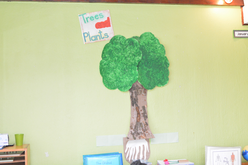 Art & Fun (2)