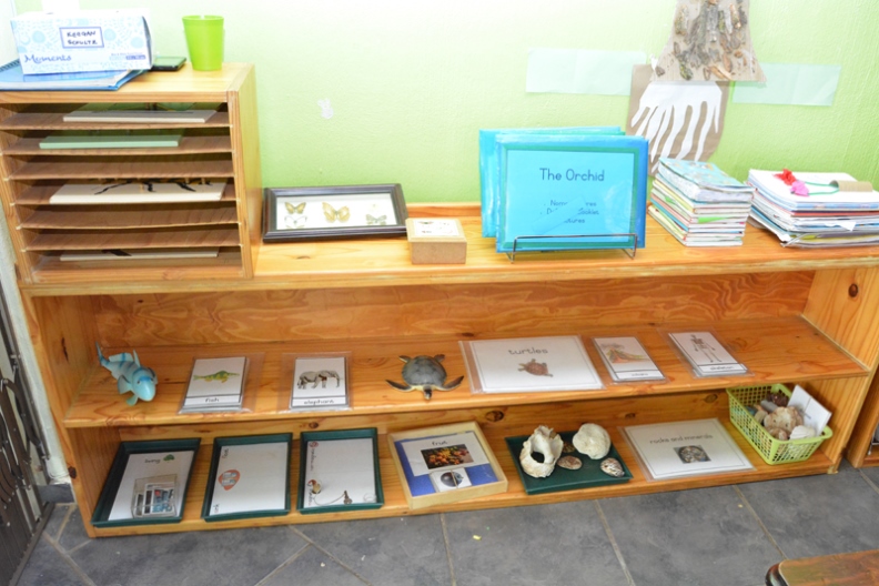 Our School (3)